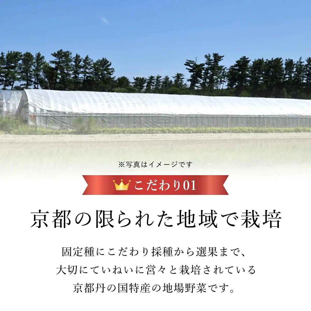 ＜2026年7月より順次発送予定＞ 万願寺甘とう 化粧箱入 秀品 計1.2kg 150g×8袋 京都丹の国農業協同組合