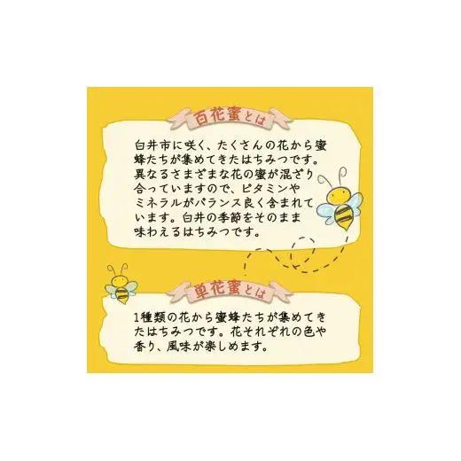 国産純粋生はちみつ ハニービーズコレクション“しろいの季節”のはちみつ 170g 純粋はちみつ 非加熱 添加物なし 百花蜜 単花蜜 国産はちみつ 生はちみつ100% 美味しい