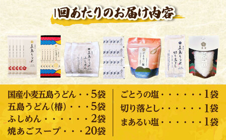 【全12回定期便】五島列島詰め合わせ[RBA034] 五島うどん うどん 詰め合わせ 定期便 五島うどん うどん 詰め合わせ 定期便九州 長崎
