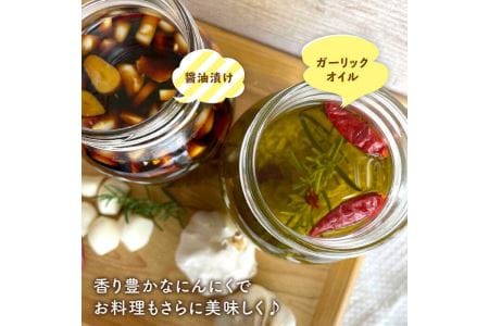 にんにく500g 大きい！美味しい！糸島からお届けする自慢のにんにくです（数量限定）《糸島》【爽風農園】【いとしまごころ】[AHZ001] 送料無料 にんにく ニンニク ガーリック 500g 数量限定