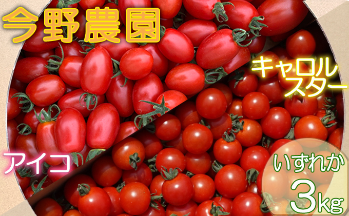 [先行受付] 北海道 仁木町産 ミニトマト 3kg サイズ混合 アイコ または キャロルスター野菜 トマト [今野農園]