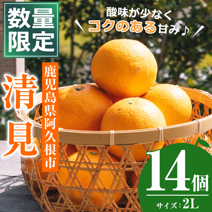 ＜先行予約受付中！2025年3月中旬以降発送予定＞数量限定！鹿児島県産清見(14個・2L)柑橘 フルーツ 果物 国産 みかん 期間限定【株式会社イロドリ】a-10-43