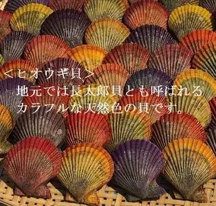 野菜盛り!ヒオウギ貝の黄金焼き（４個入り×2パック）冷凍食品 魚貝 ホタテ類 おかず 惣菜 おつまみ【R01609】