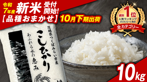 ＼ 新米先行予約 ／【10月下期出荷】品種おまかせ 10kg 茨城県つくばみらい市産 精米 こしひかり コシヒカリ あきたこまち ひとめぼれ ふくまる ゆめひたち ミルキークイーン にじのきらめき 米 コメ こめ 単一米 限定 茨城県産 国産 美味しい お米 おこめ おコメ [CL148-NT]