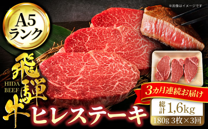 
【3回定期便】＜A5ランク＞飛騨牛ヒレステーキ180g×3枚 計540g 総計1.62kg【有限会社マルゴー】 ステーキ 和牛 国産 [MBE043]
