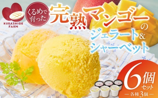 【2027年7月お届け】完熟マンゴーのジェラート＆シャーベット130ml×6個入り_完熟 マンゴー ジェラート シャーベット セット 130ml × 6個 各3個 高糖度 果肉 使用 地植栽培 アイス デザート ご褒美 冷凍 トロピカルフルーツ 果物 国産 倉重農園 グルメ お取り寄せ お取り寄せグルメ 福岡県 久留米市 送料無料_Dw012