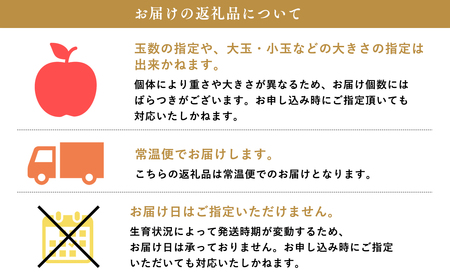 【令和7年産受付】家庭用 サンふじ/ぐんま名月 詰め合わせ約3㎏【青森県平川市産・青森りんご】