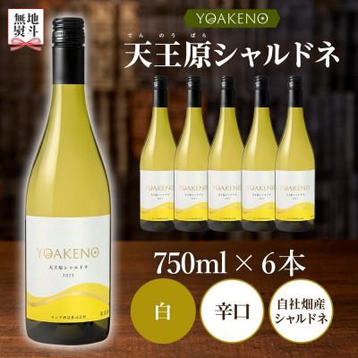 ふるさと納税 笛吹市 【のし付き】山梨県 YOAKENO 天王原シャルドネ 750ml×6本 白ワイン モンデ酒造 笛吹市 |  | 03