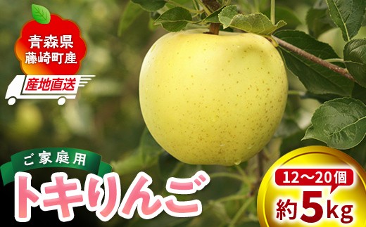 
                  訳あり トキ 家庭用 約5kg（12～20個）【前田農園】 青森りんご リンゴ 林檎 アップル 果物 くだもの フルーツ F41-0085
                