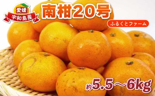 南柑20号 5.5kg ~ 6kg サイズミックス ふるくとファーム  先行予約 かなこちゃんち 温州みかん 果物 くだもの フルーツ 柑橘 みかん 蜜柑 mikan 愛媛ミカン 愛媛蜜柑 愛媛みかん 農家直送 産地直送 数量限定 国産 愛媛 宇和島 B015-037009