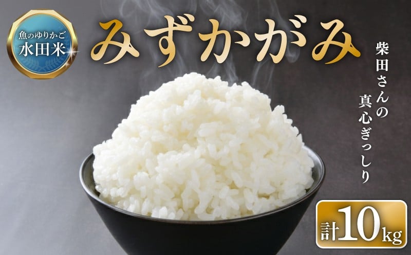 
            【数量限定 令和7年産】 環境こだわり栽培 新米 ひこにゃん米 みずかがみ 10kg 白米 米 コメ お米 ご飯 ごはん 5kg×2袋 10 令和7年 7年 順次発送 滋賀 彦根
          