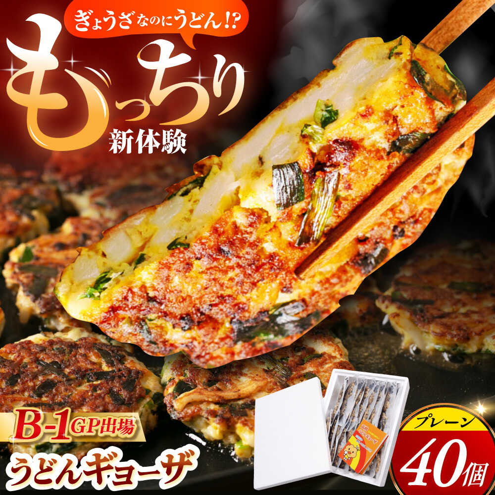 【ふるさと納税】 高槻うどんギョーザふるさとギフト【プレーン40個】 餃子 ぎょうざ ギョーザ うどん 焼きうどん ご当地 ご当地餃子 おかず 中華 中華料理 大阪府高槻市/高槻うどんギョーザの会 [AOAU003]