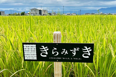 近江米『きらみずき』　化学肥料不使用米　20キロ（紙袋梱包）