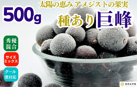 冷凍 種あり 巨峰 約500g 秀優混合 サイズミックス 和歌山県産 産地直送 ぶどう クール便  【みかんの会】