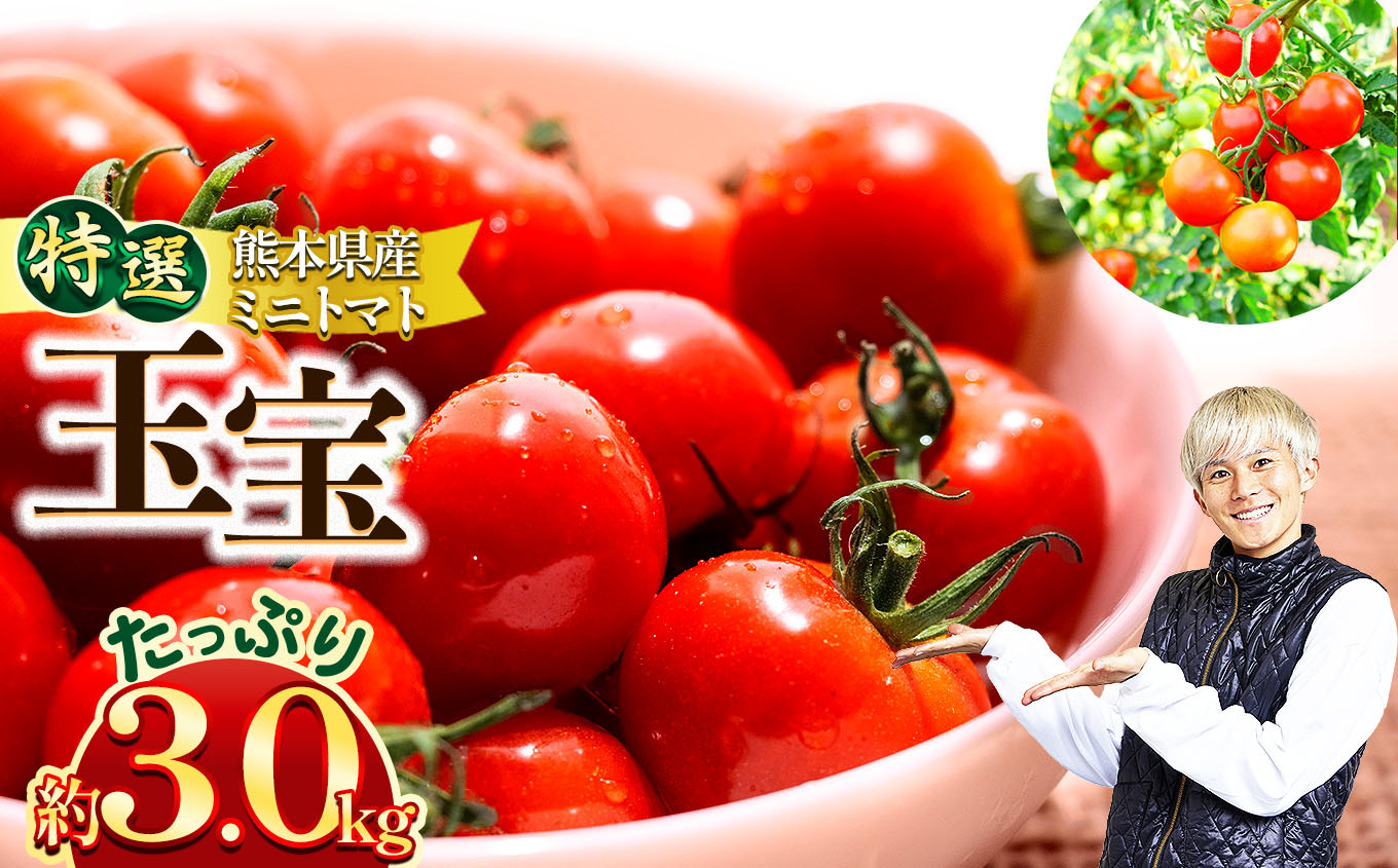 
                  特選ミニトマト 「 玉宝 」 3kg | 野菜 やさい トマト ミニトマト 特選 熊本県 玉名市
                