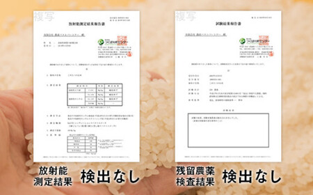 【令和7年産】ほたるの灯り 白米 6.5kg 【2025年9月下旬より順次発送開始】 ブレンド米 お米 白米 米 おすすめ 人気 ランキング
