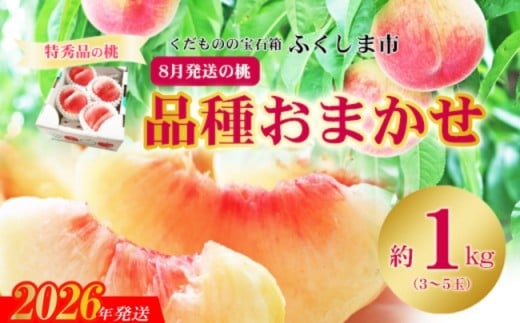 No.2436　8月発送の桃 品種お任せ　特秀品約1kg【2026年発送　先行予約】