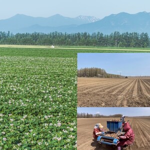十勝野じゃがいもメークイン10kg 【2026年秋出荷】（先行受付）［按田農場］
