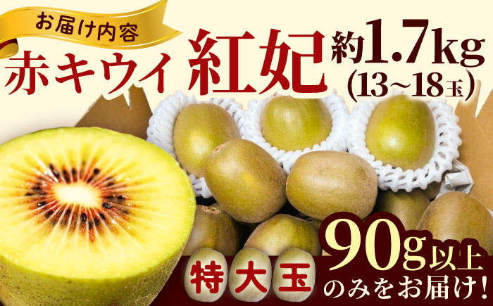 【先行予約】【2026年12月上旬～発送】赤キウイ「紅妃」特大サイズ 1.7kg ／ キウイ キウイフルーツ 果物 フルーツ 国産 産地直送 農家直送【スマイル農園たかの】 [BKCD001]