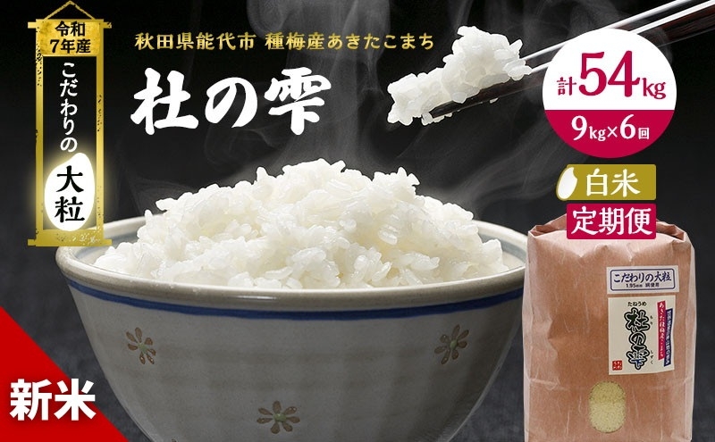 
            令和7年産 新米 米 お米 《定期便6ヶ月》【白米】秋田県産 あきたこまち あきた種梅産こまち 杜の雫 こだわりの大粒 9kg×6回 合計54kg 
          