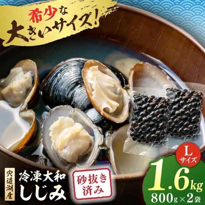 しじみ しじみ 砂抜き済 Lサイズ800×2袋(1.6kg) 島根県松江市/しじみ市場株式会社[ALDK005] しじみ しじみ