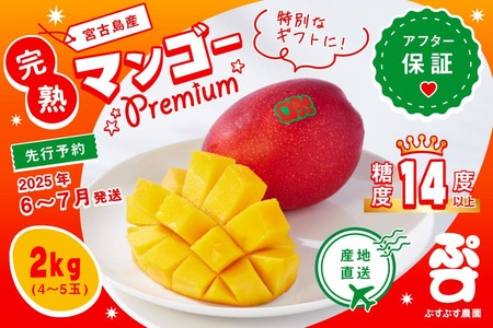KY009【ぷすぷす農園】宮古島産完熟マンゴープレミアムお中元セット（贈答用／2キロ×10セット／農園直送）
