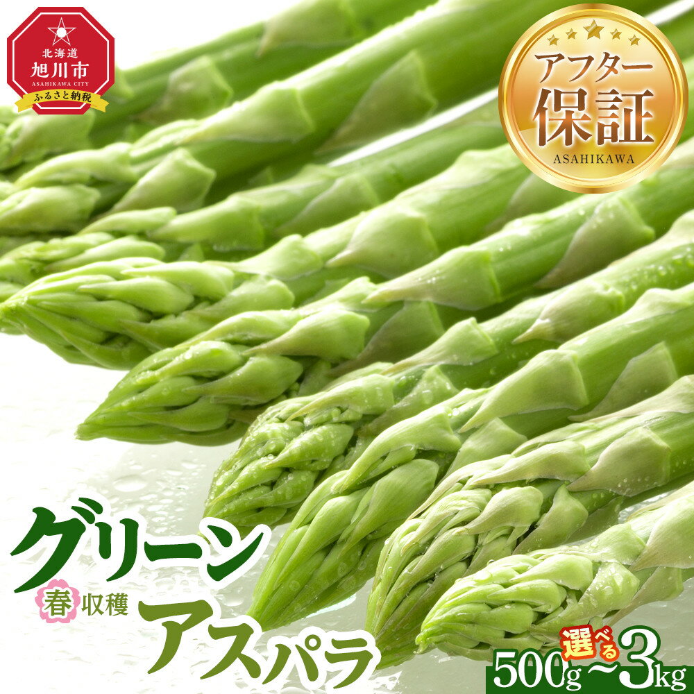 【ふるさと納税】◆先行予約◆【容量選択可能】春収穫グリーンアスパラ Lサイズ 500g～3kg（2026年6月上旬から発送開始予定） | 野菜 アスパラ アスパラガス 春 グリーンアスパラ 旭川市ふるさと納税 北海道ふるさと納税