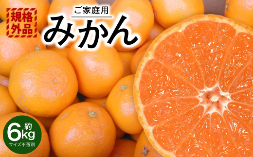 ＜ R8年熊本地震復興支援 ＞【規格外品】 みかん ご家庭用 約6kg サイズ不選別 蜜柑 ミカン フルーツ 果物 くだもの 柑橘 熊本産 九州産 【2026年10月下旬～2027年2月上旬迄発送予定】