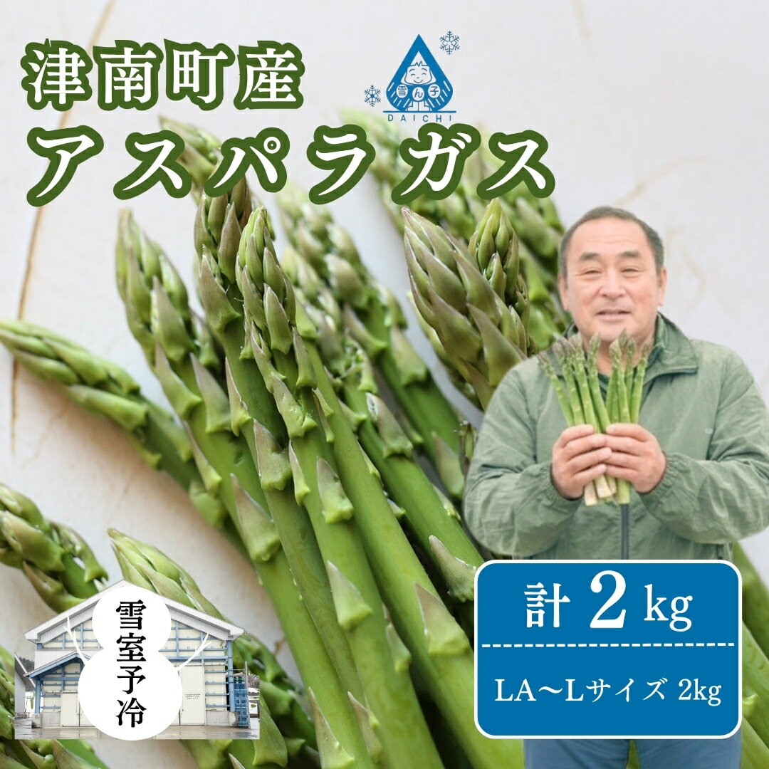 【ふるさと納税】雪室予冷 アスパラガス バラ詰め LA～Lサイズ 2kg | グリーン アスパラガス アスパラ あすぱら あすぱらがす 採れたて 新鮮 旬 産地直送 津南町 有限会社大地