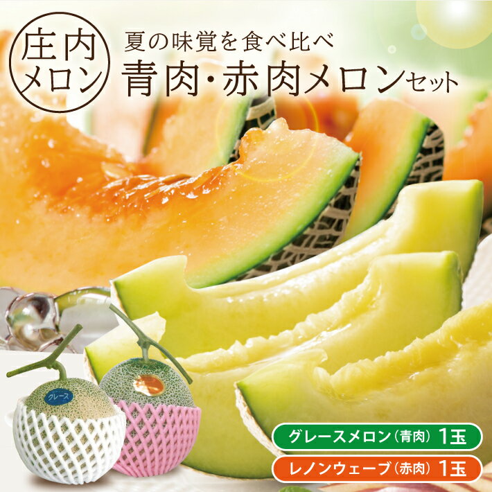 【ふるさと納税】庄内特産 青肉・赤肉メロンセット つる付 グレース (青肉) レノンウェーブ (赤肉) 各1玉 計2玉 約3kg 6月下旬〜7月中旬頃お届け ※着日指定不可 緑 果物 フルーツ 東北 山形県 酒田市 庄内 セット品 農家直送 産地直送