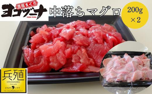 
            豊後まぐろ ヨコヅーナ 中落ち 200g×2   鮪 マグロ 海鮮丼 希少部位 刺し身 盛り合わせ 冷凍 新鮮 漬け丼 大分県産 九州産 津久見市 国産
          