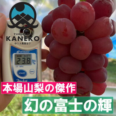 【ふるさと納税】【超希少なレア品種】ごく限られた生産者しか許されない贈答プレミアム富士の輝2025年9月下旬より発送【配送不可地域：離島】【1495734】