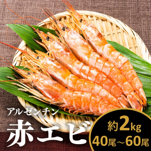 AB443.【お刺身用】有頭赤海老2kg（約40〜60尾入）