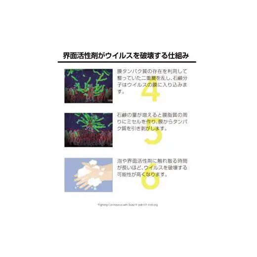 除菌剤 濃縮液 500mL 陰イオン性界面活性剤2% コロナ対策 ウイルス 消毒 除菌 陰イオン界面活性剤