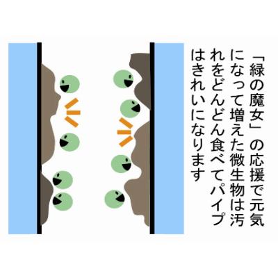 ふるさと納税 龍ケ崎市 【毎月定期便】ふるさと納税専門誌掲載品　環境配慮型洗剤緑の魔女ランドリー5L×3セット 全12回 |  | 03