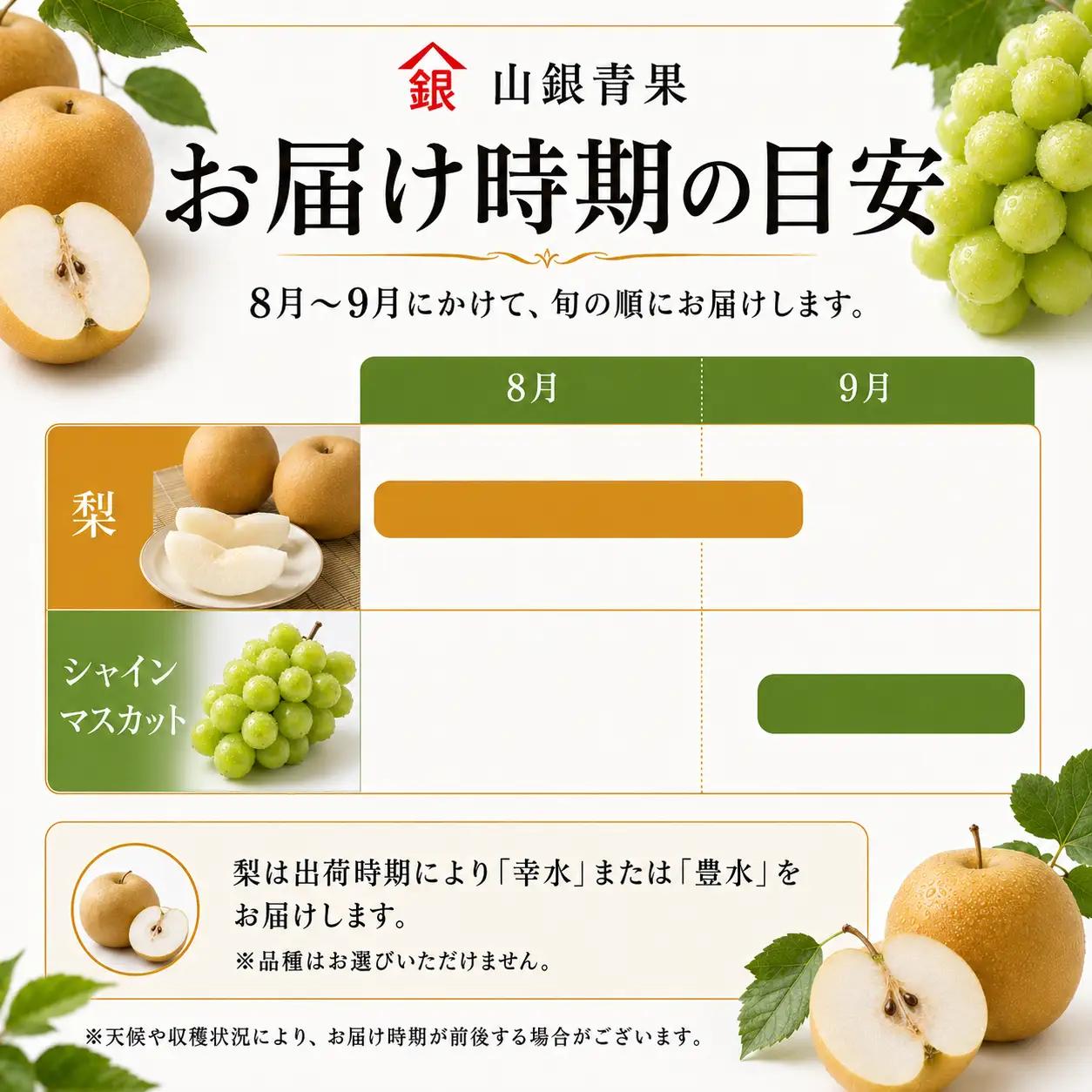 フルーツ 定期便 2回 コースB 果物