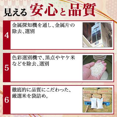 ふるさと納税 大仙市 【令和7年産】20kg(5kg×4袋)大手有名百貨店出荷米　あきたこまち |  | 02