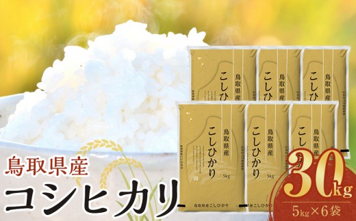 【令和8年産新米産】【食味鑑定士厳選】 鳥取県産 コシヒカリ30kg (5kg×6袋)【 米 お米 こめ 白米 こしひかり ご飯 ごはん 白ごはん 白ご飯 鳥取県 北栄町 おすすめ 人気 2025年産 令和8年産新米 厳選 国産 送料無料】
