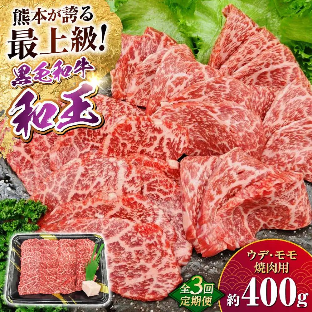 【全3回定期便】熊本県産 A5等級 黒毛和牛 和王 ウデ・モモ 焼肉用 約400g 計約1.2kg 焼肉[AYCH030]