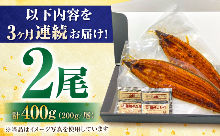 【全3回定期便】国産！九州仕立ての特大うなぎ蒲焼 計400g（200g×2尾）吉野ヶ里町/株式会社フジマキ うなぎ ウナギ 国産 [FDM008]