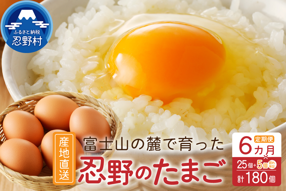 【6ヶ月定期便】富士山の麓で育った産地直送 ”忍野の卵”※卵25個+割れ保証5個　計180個