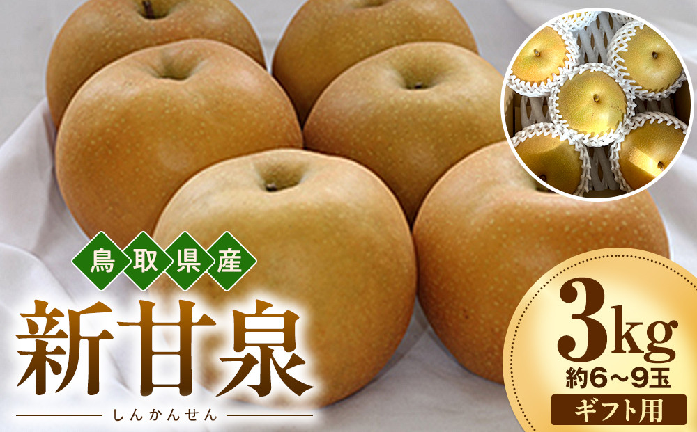 【2026年度先行予約】数量限定　鳥取県産　新甘泉 ギフト用　秀品 3kg(約6〜9玉)【8月20日以降発送】 313726_DE003