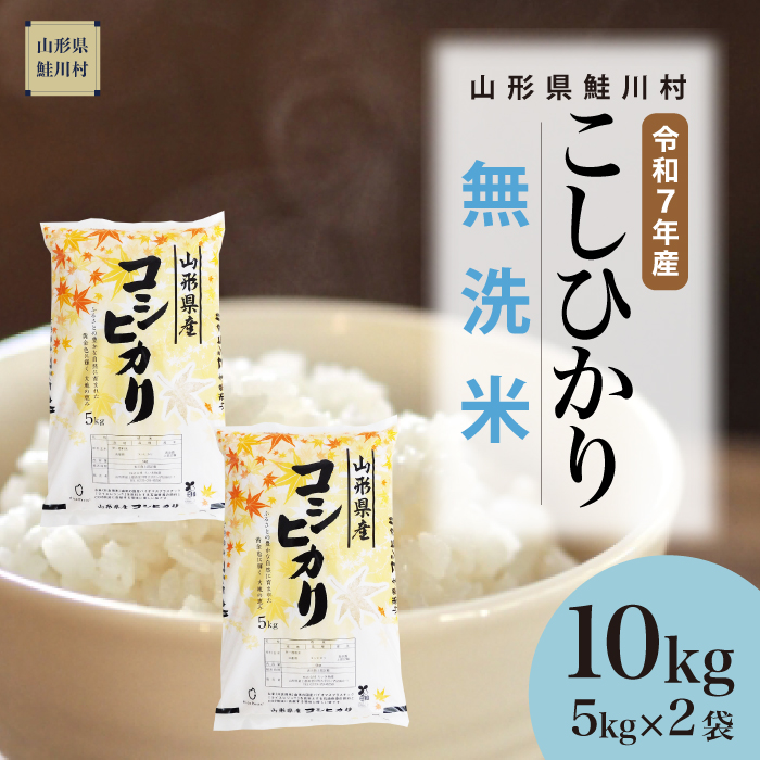 令和7年産　山形県産 こしひかり 【無洗米】 10kg （5kg×2袋） 数量限定　配送時期指定できます！　鮭川村