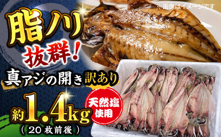 訳あり 干物 真アジの干物 1.4kg（20枚前後） [AKCX013]