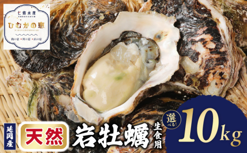 延岡産天然岩牡蠣（生食用）10kg（大）（2025年4月から発送開始） N036-YZD027