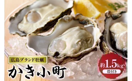 【先行受付】【2025年１2月より発送】丸十水産 広島ブランド牡蠣 殻付き かき小町 約1.5kg  (8～10個) ku003-009-25