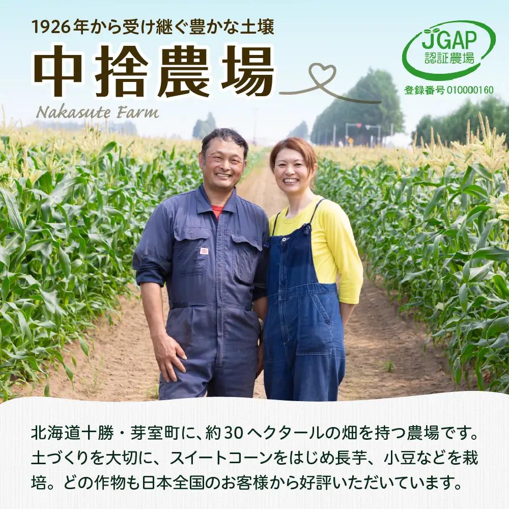 とうもろこし ドルチェドリーム 13本 北海道 芽室町 とうもろこし