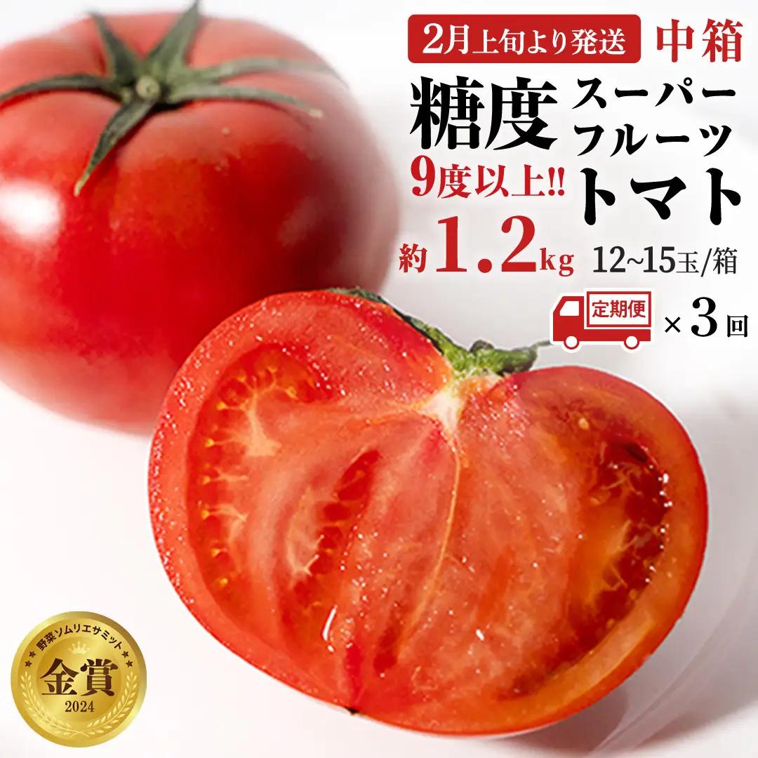 《 2027年 収穫分 》全3回 定期便 スーパーフルーツトマト 中箱 約1.2kg × 1箱 × 3回 糖度9度以上 先行予約 定期便 3ヶ月 茨城県 桜川市 KEK 国産 トマト フルーツトマト ブランドトマト 野菜 ギフト 贈答 青空レストラン アド街ック天国 グッドモーニング 黄金のワンスプーン 昼めし旅 [BC049sa]