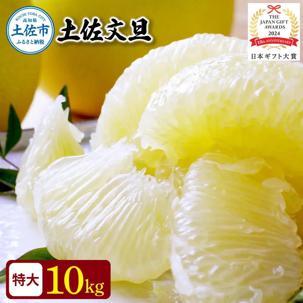【先行予約】日本ギフト大賞2024受賞！園主こだわりの土佐文旦 約10kg（特大サイズ：14〜17玉） 高知県土佐市 【やの一果彩】 [BQAC006]