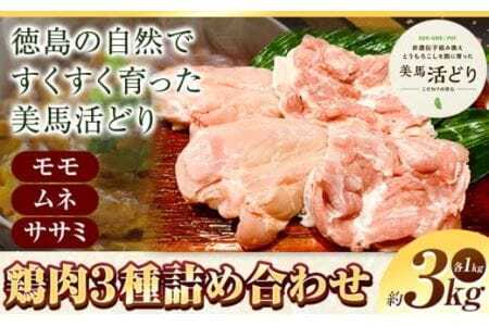 鶏肉 3kg モモ ムネ ササミ 詰め合わせ かねひ活鳥《30日以内に出荷予定(土日祝除く)》│ 鶏肉 3kg モモ ムネ ササミ 詰め合わせ 《30日以内に出荷予定(土日祝除く)》│鶏肉鶏肉鶏肉鶏肉